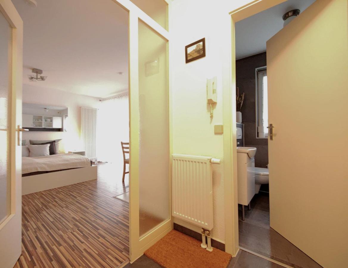 Gemütliche Ferienwohnung in ruhiger Lage Dresden Exterior foto